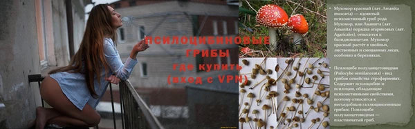 соль ск Алзамай