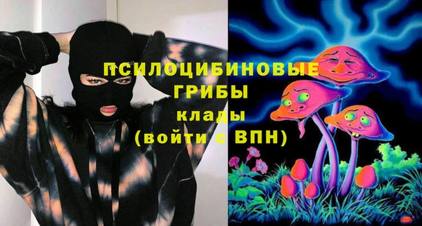 соль ск Алзамай