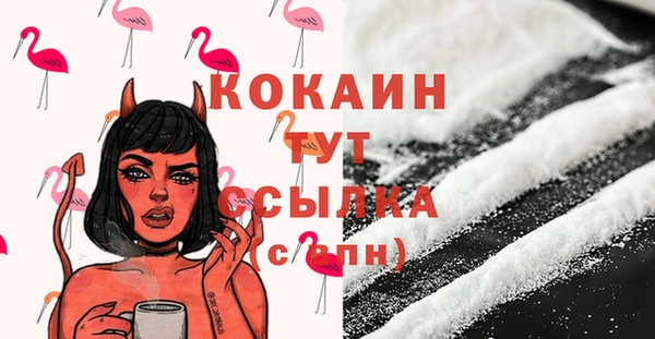 прущий лед Алексин