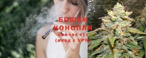 индика Покровск